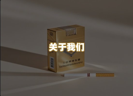 关于我们
